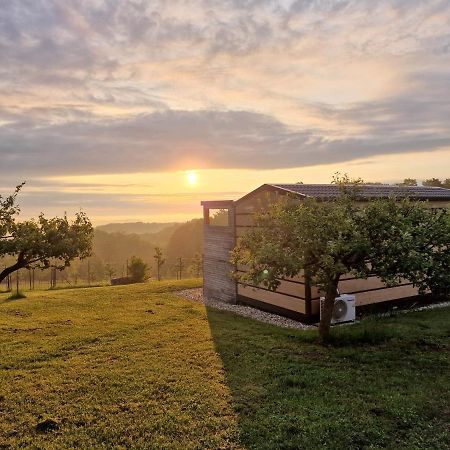 Vinea Panonika Wine & Mind Retreat Vila Radenci Exterior foto