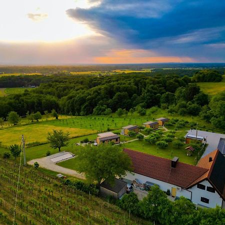 Vinea Panonika Wine & Mind Retreat Vila Radenci Exterior foto