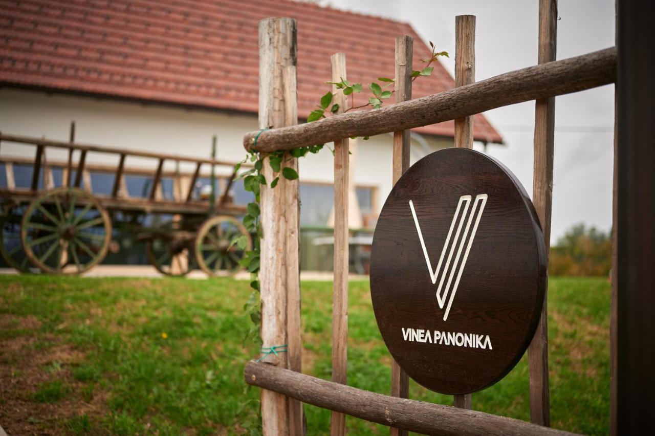 Vinea Panonika Wine & Mind Retreat Vila Radenci Exterior foto