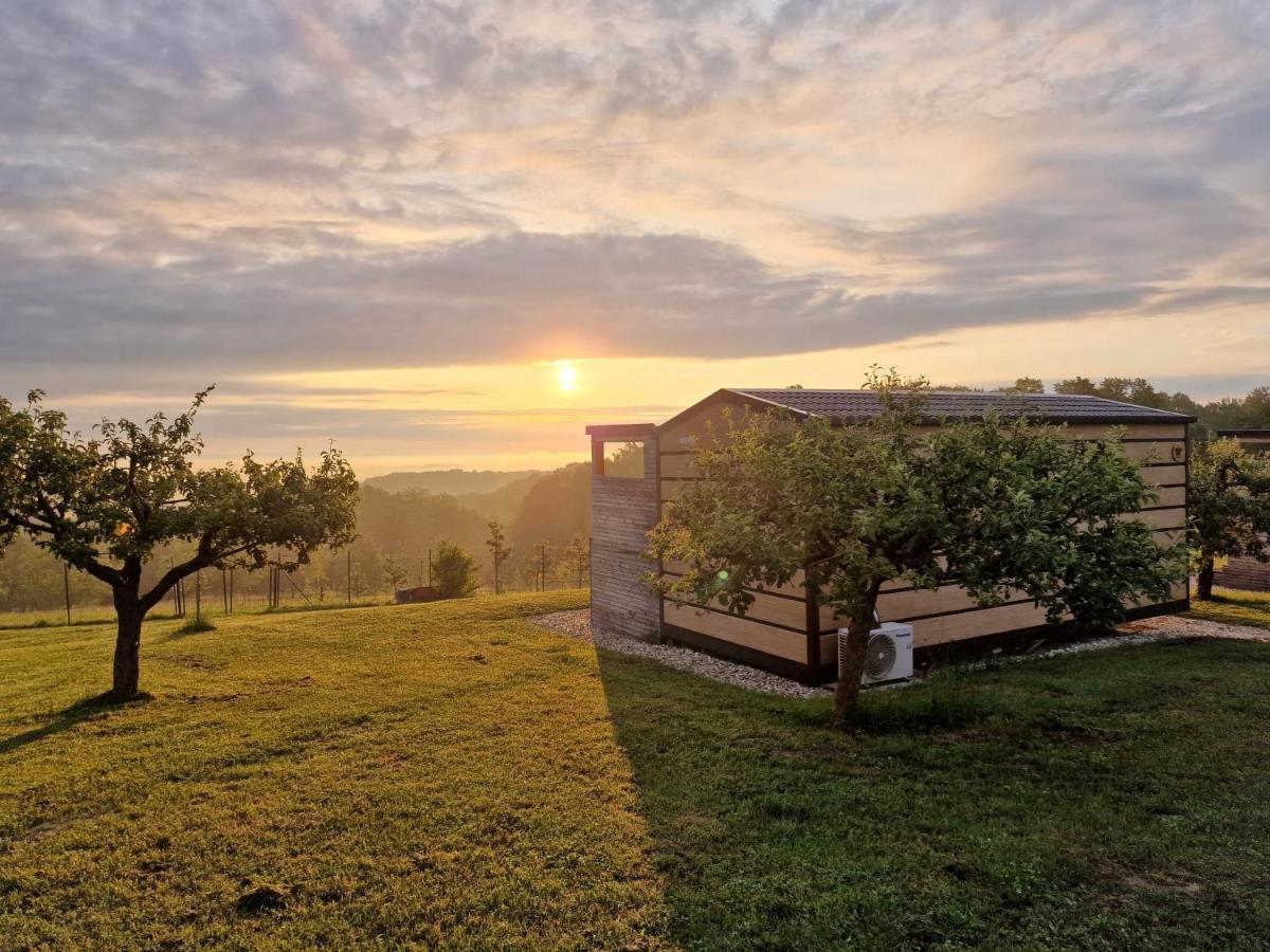 Vinea Panonika Wine & Mind Retreat Vila Radenci Exterior foto