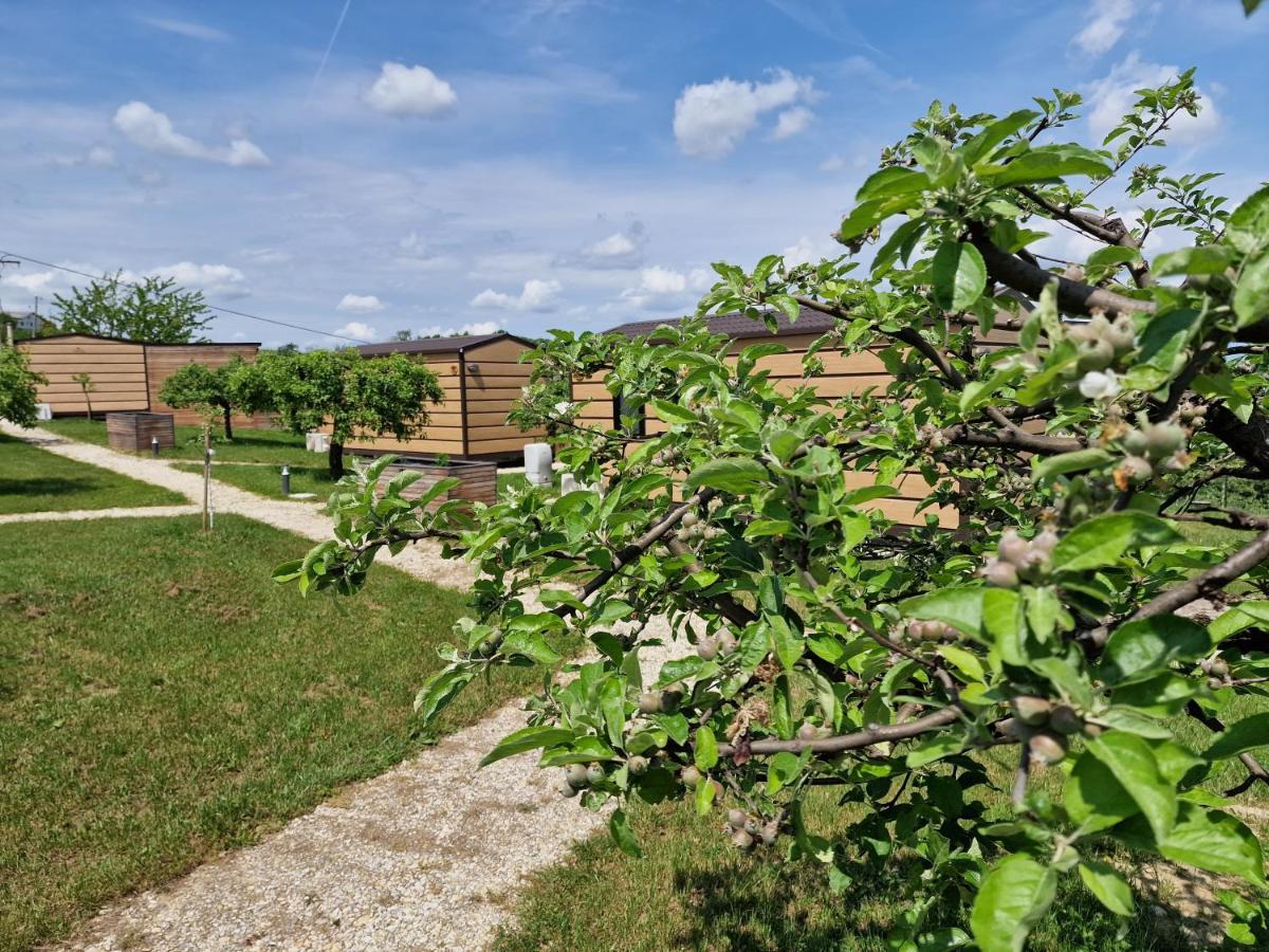 Vinea Panonika Wine & Mind Retreat Vila Radenci Exterior foto